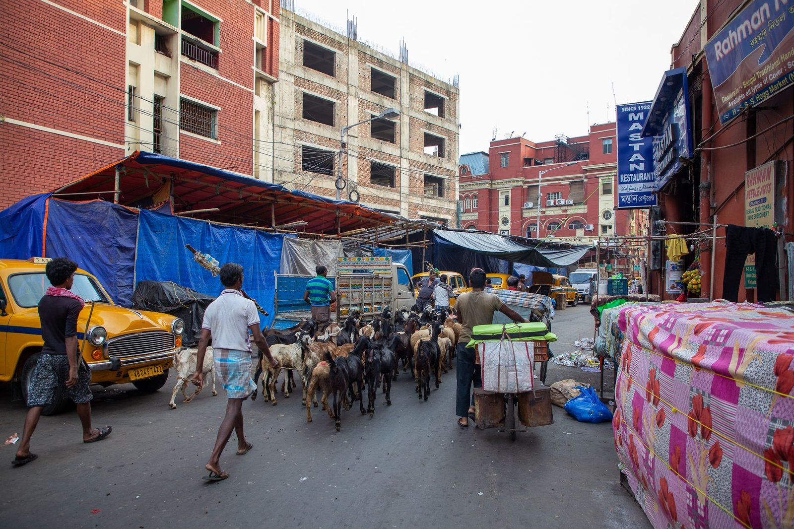 A vibrant Indian street market scene with people and goats amidst colorful urban buildings.