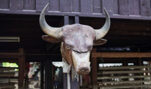 Close-up of a rustic bull head wall decor at an outdoor location in Chiang Mai, Thailand.