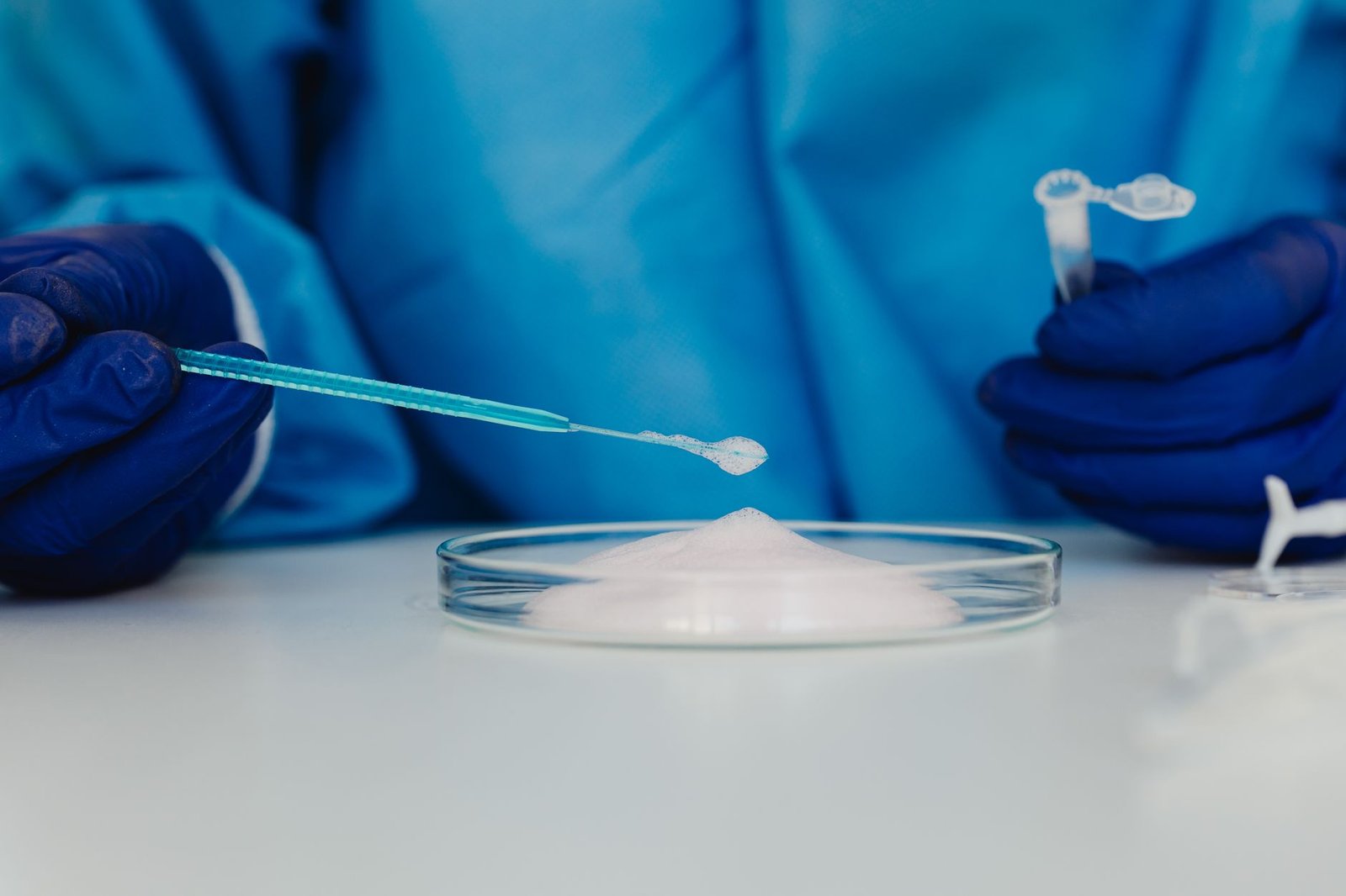 Close-up of a scientist conducting an experiment with a petri dish and blue pipette in a laboratory.